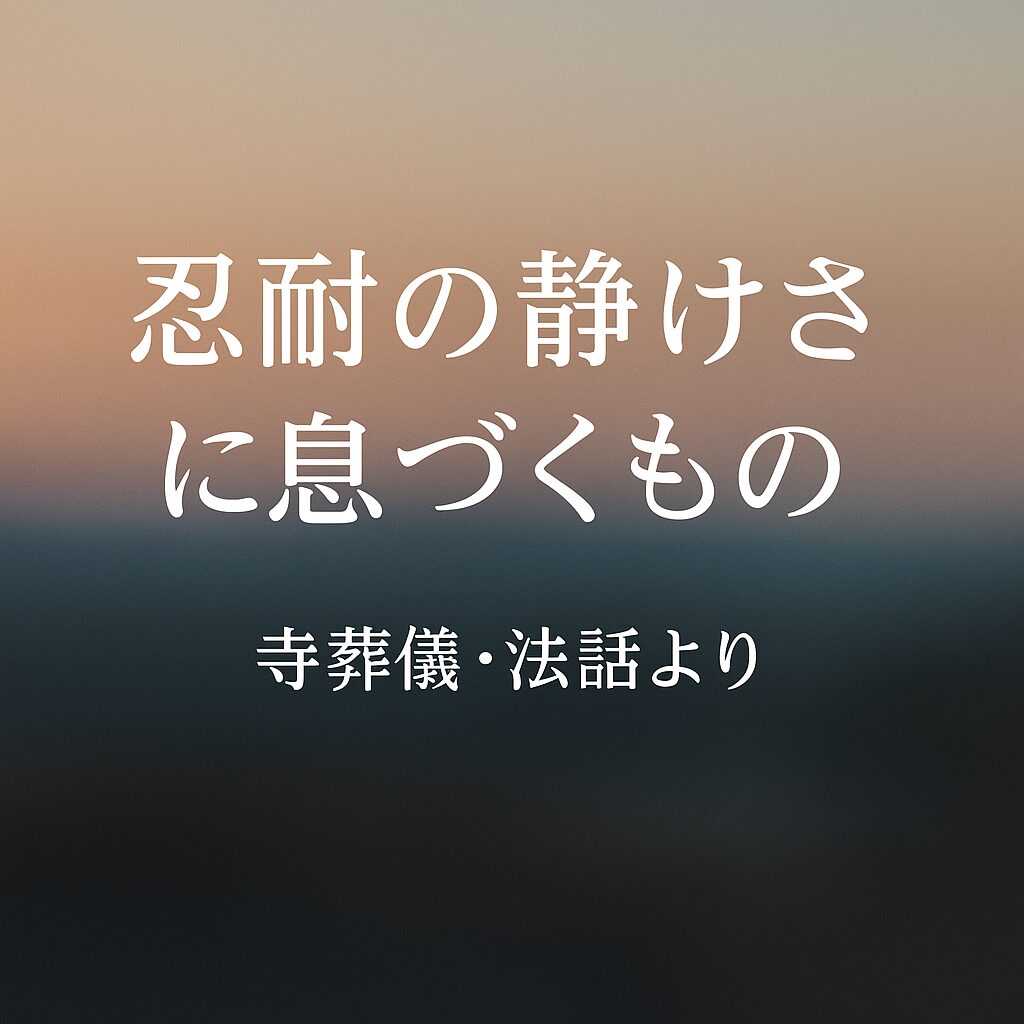 寺葬儀の法話「忍耐の静けさに息づくもの」。静かな境内に差し込む朝の光が、忍耐と供養のこころを表す。
